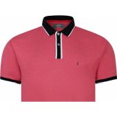 Peter Gribby Mens Big Size Soft Touch Cotton Polo With Contrast Collar And Cuff Trim