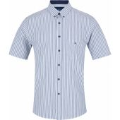 Douglas And Grahame Mens Big Size Bengal Stripe Cotton Button Down Collar Casual Short Sleeve Shirt