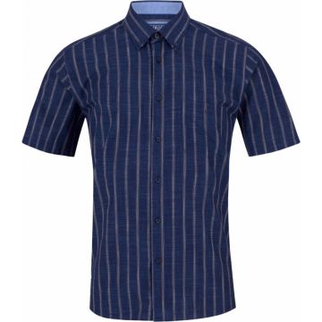Douglas And Grahame Mens Big Size Stripe Cotton Button Down Collar Casual Short Sleeve Shirt